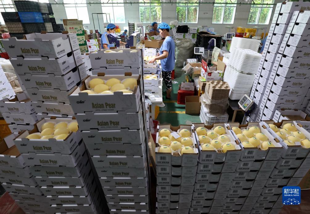 百佳乐游戏下载